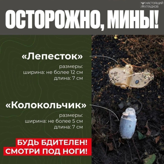 Уважаемые друзья и гости нашего сайта‼️.